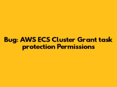 Bug: AWS ECS Cluster Grant_task_protection Permissions