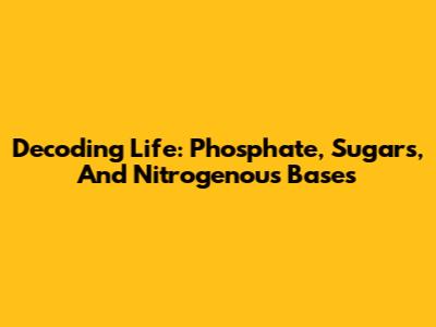 Decoding Life: Phosphate, Sugars, And Nitrogenous Bases