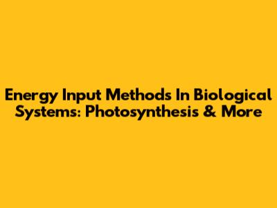 Energy Input Methods In Biological Systems: Photosynthesis & More