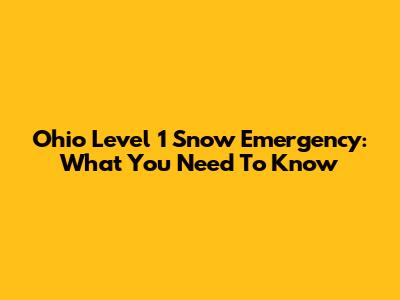 Ohio Level 1 Snow Emergency: What You Need To Know