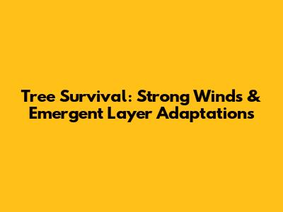 Tree Survival: Strong Winds & Emergent Layer Adaptations