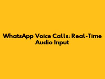 WhatsApp Voice Calls: Real-Time Audio Input